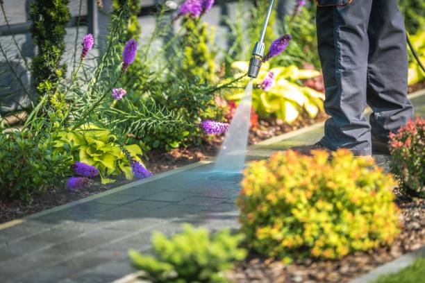  Pottsville, PA Pressure Washing Pros