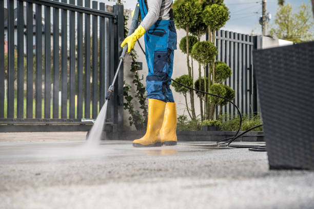 Best Roof Washing  in Pottsville, PA